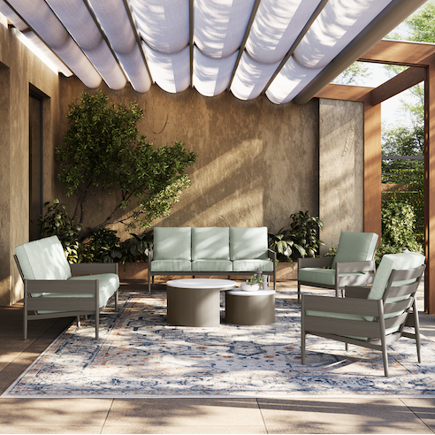 Buena Vista Collection